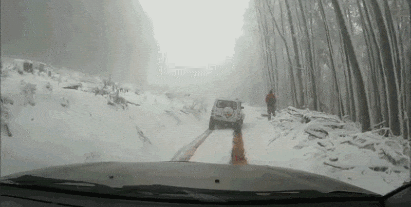 gif oubli frein à main