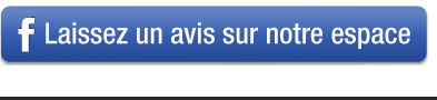 Bouton Facebook